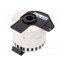 DK-22205 Label; 62mm; 30.48m; white; Character colour: black; self-adhesive 0t5PGz7b4hQ3bcaCpNdhCbG8CmNS3l1JvEMoHdVWtEI