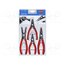 00 20 03 SB Tools set: pliers; for circlip 53FQTUYxcdkYVlqWW59ZSeSiQqvLnX4E-tfOaZMw3fg