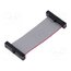 FFSD-13-D-02.00-01-N Ribbon cable with IDC connectors; IDC,both sides; 50.8mm; 2" qYMoGg8qwLOuqFfJ4FJssHv74ckEcUiUca1LLqYM3is