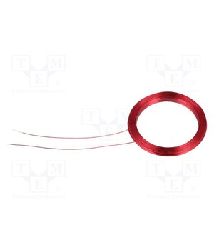 ANTENNA L113 30 MM Antenna; RFID; 125kHz; Øout: 25mm; Øint: 19mm; Thk: 2.5mm HOON1gZ7tl8t5Qr8Z8shMYdW0xVi1KxZ_76FroTLktE