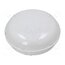 D.3175M-BN-20W Lamp: LED lighting fixture; PANDA LED; polycarbonate; 4000K; IP65 T3Yn-Gb1m35zZbKUI6WqniScgIiOy5-xyAPpPQX49Yc