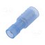 BM80240 Terminal: round; female; Ø: 5mm; 1.5÷2.5mm2; crimped; for cable GwHF6IAOb4ih0eaVlhZGnuF-4f1rEbQphsNpWHYCxjk