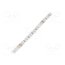 HH-SWWW120F010W24-3527-CCT LED tape; white warm/cold white; LED/m: 120; 10mm; white PCB; IP20 o9lJDYtGvZ7evaUNnB-4PwSuJ0GAR_Zqo-S6GpyEf6M