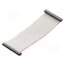 DS1052-01-502B2NA201501 Ribbon cable with IDC connectors; Tape ph: 1mm; Contacts ph: 2mm wAU6oDwHEwvdxEtKejVPZJJJRUlAIUW3uWtzXOtFaO4