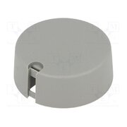 A1040638 Knob; with pointer; plastic; Øshaft: 6.35mm; Ø40x16mm; grey; A10 mqPmGmHo582yVW5p7WRmN6TVKkcVM6FKQbS_zFxsTrA