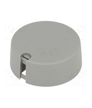 A1040638 Knob; with pointer; plastic; Øshaft: 6.35mm; Ø40x16mm; grey; A10 mqPmGmHo582yVW5p7WRmN6TVKkcVM6FKQbS_zFxsTrA