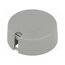 A1040638 Knob; with pointer; plastic; Øshaft: 6.35mm; Ø40x16mm; grey; A10 mqPmGmHo582yVW5p7WRmN6TVKkcVM6FKQbS_zFxsTrA