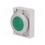 M30C-FDL-G Switch: push-button; 30mm; Stabl.pos: 1; green; M22-FLED,M22-LED 9IApErW-ltLn4Uyu_GuuXQEQtL7YseCr3FqtLujxUyw