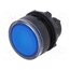 ZB5AW363 Switch: push-button; 22mm; Stabl.pos: 1; blue; ZBVB,ZBVG,ZBVJ,ZBVM RM2mspX6LlmBbJxoYvEV3WN_81i9FuHsXw6nG8Zts3k