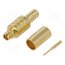 RF12-06-T-02-50-G Connector: MMCX; plug; male; straight; 50Ω; RG174,RG188,RG316; PTFE r-WsNpZd1fSntANRg9kS689xnsexRBTskrjRJQgRHSs