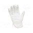509-0001 Protective gloves; ESD; S; polyester,PVC,carbon fiber; white DO6GA8DlM67Gd-Uevu4JHdsSfocG-cgmoVSHlJJsjdE