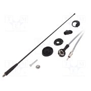 7657016 Antenna; car top,automotive; 400mm; AM,FM; universal; 2.7m tpZMDxXbBwAO0J-KbBeoaISxCwn8Ms6lg4aPy46oVO0