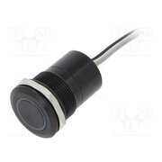 MC22LOBRG Switch: capacitive; Pos: 2; SPST-NO; 0.01A/12VDC; IP68; OFF-ON; MC 1GwxZRpdFTRo9hQwFFwGCCQLCFNdRGVcbEyZRMhXf6o