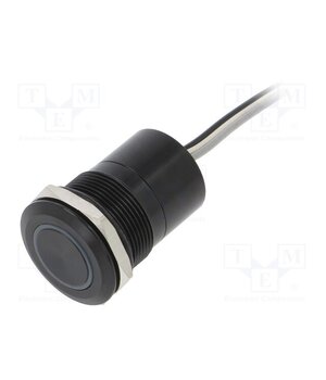 MC22LOBRG Switch: capacitive; Pos: 2; SPST-NO; 0.01A/12VDC; IP68; OFF-ON; MC 1GwxZRpdFTRo9hQwFFwGCCQLCFNdRGVcbEyZRMhXf6o