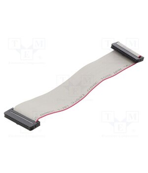 DS1052-01-262B2NA203001 Ribbon cable with IDC connectors; Tape ph: 1mm; Contacts ph: 2mm rvxHbAoRGSSqLoK0GFJzbt1WUQ354SkVZLly9GE67Ns