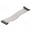 DS1052-01-262B2NA203001 Ribbon cable with IDC connectors; Tape ph: 1mm; Contacts ph: 2mm rvxHbAoRGSSqLoK0GFJzbt1WUQ354SkVZLly9GE67Ns