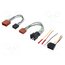 C1534/8V Cable for THB, Parrot hands free kit; BMW,Citroën,Peugeot W_e_-qS-5Z1Bpfd2Pl4ZzTJfhrdwcTe2G41XDIrBRwA