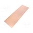 LAM165X500C31.5 Laminate; CEM3; 1.5mm; L: 500mm; W: 165mm; Coating: copper 3R-DBgAolALb3qz0fL1PraTtydyHpZVaAjvO1JeF7LU