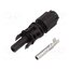 32.0316P0001 Connector: solar; plug; female; MC4 Evo 2; 53A; 1.5kV; straight IYV7aWJhkLc2v9fAIcf1XOtZGiqzVYDL3lUDg1007K8