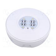 RT2SSEO200STF1HIP Lamp: LED emergency luminaire; RoundTech; IP65; white; 1.1W; 200lm 1vroQUxcIi3yuvaGaAk16RP5Zr_6XfqRaETC2-sapLM