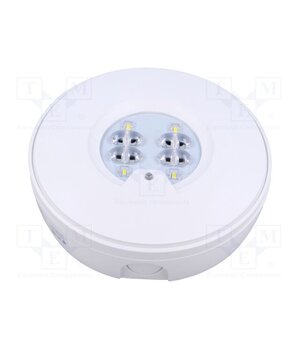 RT2SSEO200STF1HIP Lamp: LED emergency luminaire; RoundTech; IP65; white; 1.1W; 200lm 1vroQUxcIi3yuvaGaAk16RP5Zr_6XfqRaETC2-sapLM
