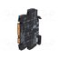 8950820000 Relay: interface; SPST-NO; Ucntrl: 24VAC; 0.1A; 5÷48VDC; Relay set ZsOgKqrCk_QK30YILZGUvV7rJex6Kf6jGdPyzPEblIg