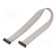 FFSD-10-D-09.00-01-N Ribbon cable with IDC connectors; IDC,both sides; 228.6mm; 9" bIMHILQ0rxAQnaJbaUglB9yzUAcrNCTBu_xC1KrldOY