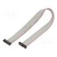 FFSD-10-D-09.00-01-N Ribbon cable with IDC connectors; IDC,both sides; 228.6mm; 9" bIMHILQ0rxAQnaJbaUglB9yzUAcrNCTBu_xC1KrldOY
