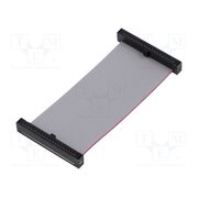 FFSD-20-D-02.50-01-N-RN2 Ribbon cable with IDC connectors; IDC,both sides; 63.5mm; 2.5" TTjb4Eb-Ez-o-VN_kpns0OsV9YLLtKPNkxoxKqXSMtI