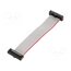 FFSD-10-D-03.00-01-N-R Ribbon cable with IDC connectors; IDC,both sides; 76.2mm; 3" O7tTG5SrN-3EkzPPZnESaVTY_Ni0xT32i8BRMnGdGkY