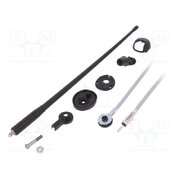 7667001 Antenna; car top,automotive; 0.36m; AM,FM; rubber mast,universal H2Pa6hEczAJ_reTCVobhUVOAMtDNFKiGVupkFJ_Jmmg