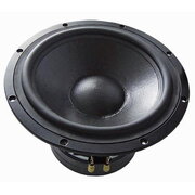 WOOFER TIW300 8Ω

 GAVSZTIW300.jpg
