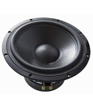 WOOFER TIW300 8Ω

 GAVSZTIW300.jpg
