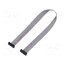 FFSD-08-D-10.00-01-N Ribbon cable with IDC connectors; IDC,both sides; 254mm; 10" HhsxegXghk7ujDI3_nsoX_A84LaHeACpIP1vZ3RrHG8