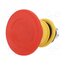 61-6461.4067 Switch: emergency stop; 16mm; NC x3; red; none; IP67,IP6K9K; 61 CoBl-iKPIYiFvWLpmlrraVjdbYVhrTS3-y-CpFOyREU