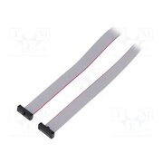 FFSD-08-D-24.00-01-N Ribbon cable with IDC connectors; IDC,both sides; 609.6mm; 24" CxWrKaa1iaq2OyJ3fYGykf3Ld3_CYNNiI6pcb_lP5CA