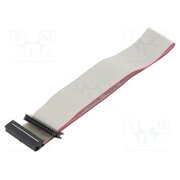 DS1052-01-302B2MA201501 Ribbon cable with IDC connectors; Tape ph: 1mm; Contacts ph: 2mm esNUprHBuklTiyk_KZVRopsRe3SaKaYSMihFubqK62o