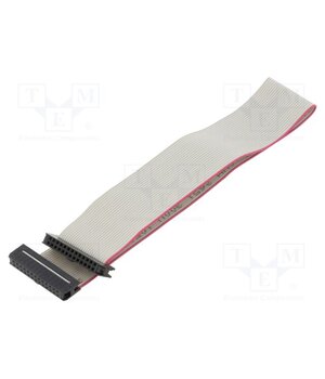 DS1052-01-302B2MA201501 Ribbon cable with IDC connectors; Tape ph: 1mm; Contacts ph: 2mm esNUprHBuklTiyk_KZVRopsRe3SaKaYSMihFubqK62o