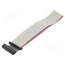 DS1052-01-302B2MA201501 Ribbon cable with IDC connectors; Tape ph: 1mm; Contacts ph: 2mm esNUprHBuklTiyk_KZVRopsRe3SaKaYSMihFubqK62o
