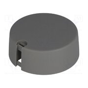 A1040048 Knob; with pointer; plastic; Øshaft: 4mm; Ø40x16mm; grey; A10 WqtzWPWnW9nlUV7xAV-ra8CtFFOSBwCs5tVP9dlUUBY