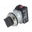 NEF30-PSXY Switch: rotary; 30mm; Stabl.pos: 2; NC + NO; black; IP56; NEF30 maJeOV08O01oRTRZXd4czDqH6QOQt72ZIbQbwtXSsck