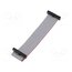 FFSD-13-D-04.00-01-N-R Ribbon cable with IDC connectors; IDC,both sides; 101.6mm; 4" RD0lxKWdT06hGKASiV0BTWSSTfasPV_fA0ktoR_wyss