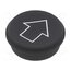 09-0S12.0251 Button; round; Ø21mm; black; 09; Button marking: arrow TmittQwsX3vMacmZzKE3Hpfg-NsidjUfyKqh3v-NFAE