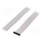 FFSD-17-S-33.00-01-N Ribbon cable with IDC connectors; IDC,wires; Tape ph: 0.64mm 0fW4kZAR-LUw0ZYGv2nLqrpJE-Ny9Bzxg7xeoXbMY6g