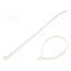7TCG009140R0019 Cable tie; L: 140mm; W: 3.6mm; polyamide USbHoSeud1c7y_nCppwNGApuGSjd3mrOz-XHON1WZSo