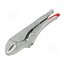41 04 250 Pliers; Morse's,locking; 250mm N8awzOeBx6SwEjnKrVkHk5zWJ2fYQhbOzgC5UrPmO6g