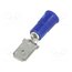 8289 Terminal: flat; 6.4mm; 0.8mm; male; crimped; for cable; insulated 4jy5-RxhYPY0GdjFjK8fTYxwgVlCxbO88MmhU3XP15s