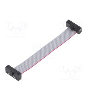 FFSD-06-D-02.50-01-N Ribbon cable with IDC connectors; IDC,both sides; 63.5mm; 2.5" hPAiUnP-rcDy9sx7l0fo3glmO3ItIXJmp9RHwRe-3ac
