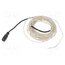 OSWSM51006B-5V LED; white warm; 3.75W; 100lm; 120°; No.of diodes: 100; 5VDC uKkrj1bzVoGcH6p5XSho6fA4-I3SdREwtiR-56YKnBE