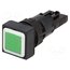 Q18D-GN Switch: push-button; 16mm; Stabl.pos: 1; green; RMQ-16; Pos: 2 f1G_EDsd_EdbPorx-WCzGWewDGOwL7-FsT7i1Edk2RU